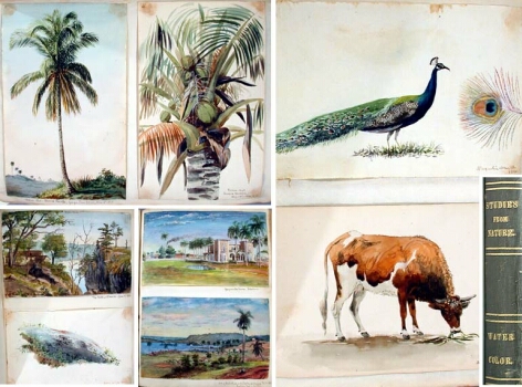 Image for the Books and Prints sale