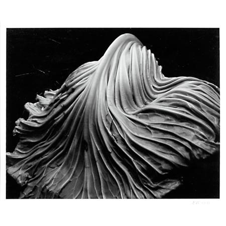 Image for the Books / Photographs / Prints / Coins, Bank Notes & Postage Stamps sale