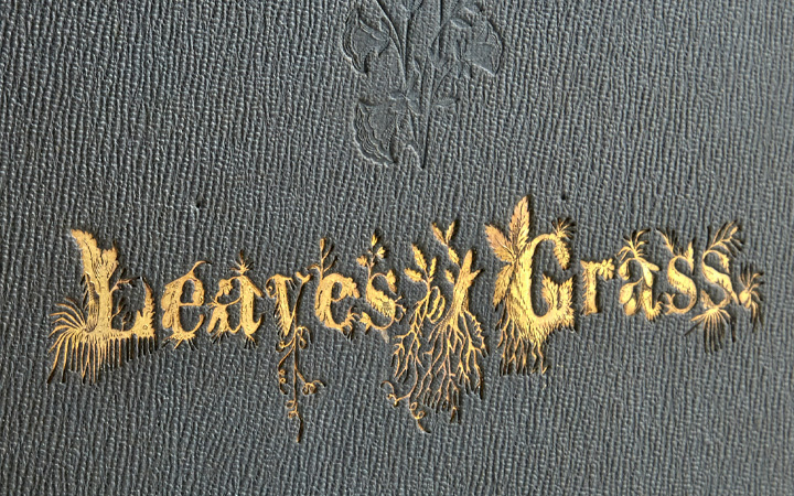 Image for the Fine Literature sale