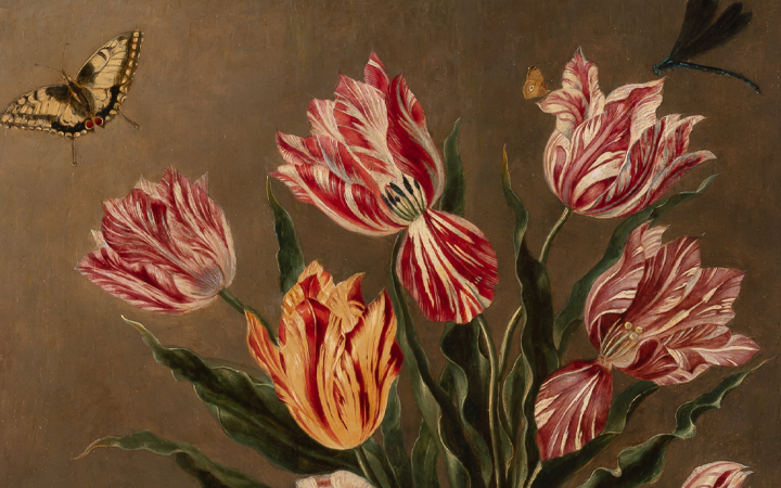 Image for the Old Master Paintings & Drawings sale