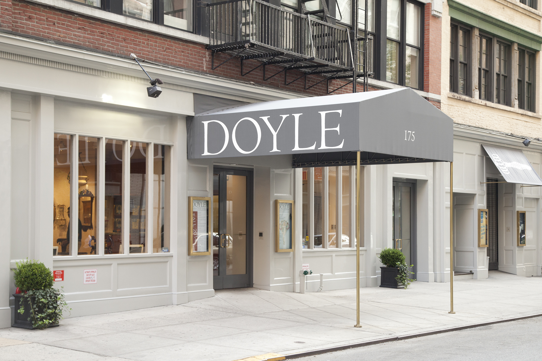 Doyle New York