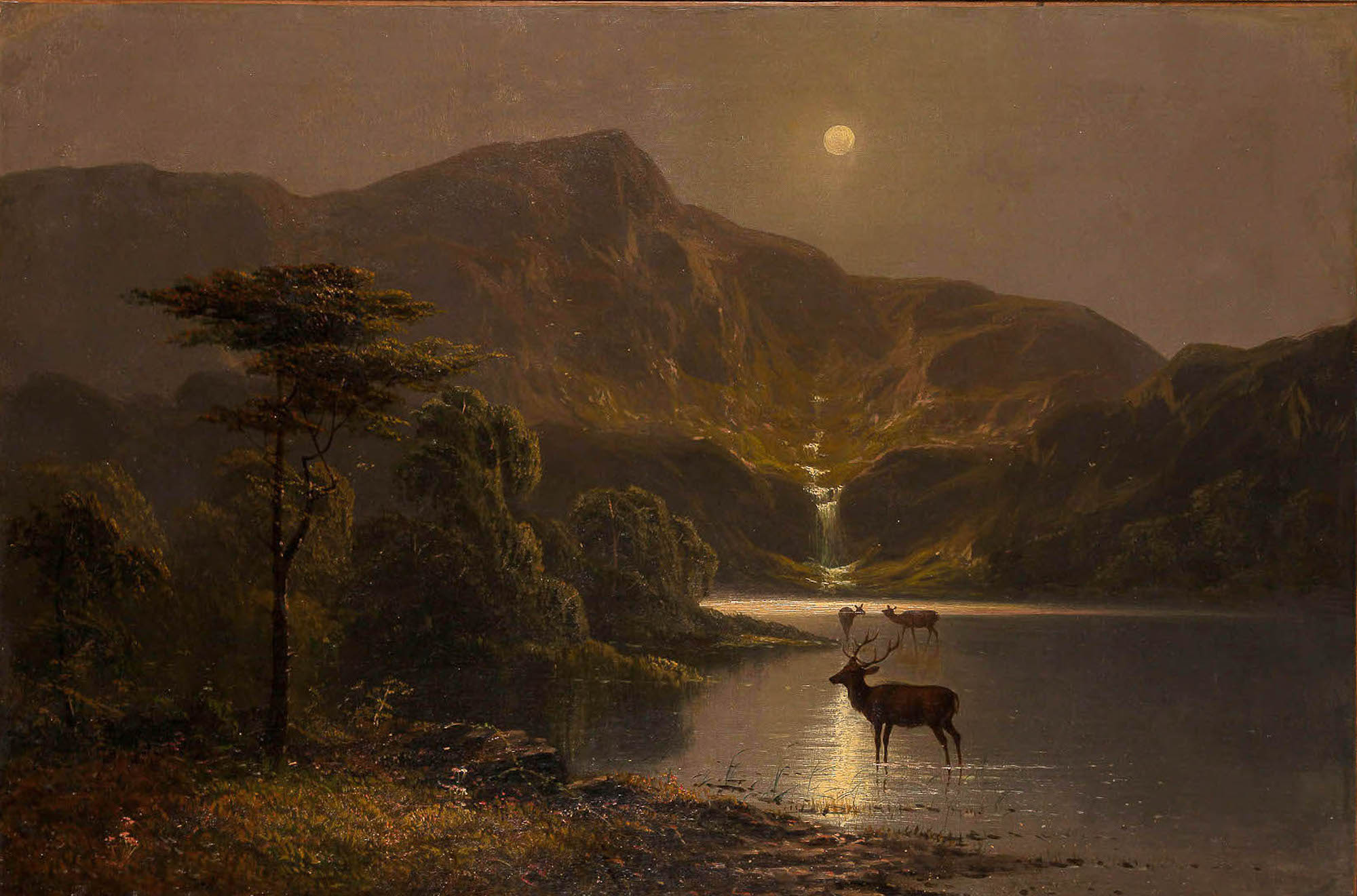 Lot image - American School