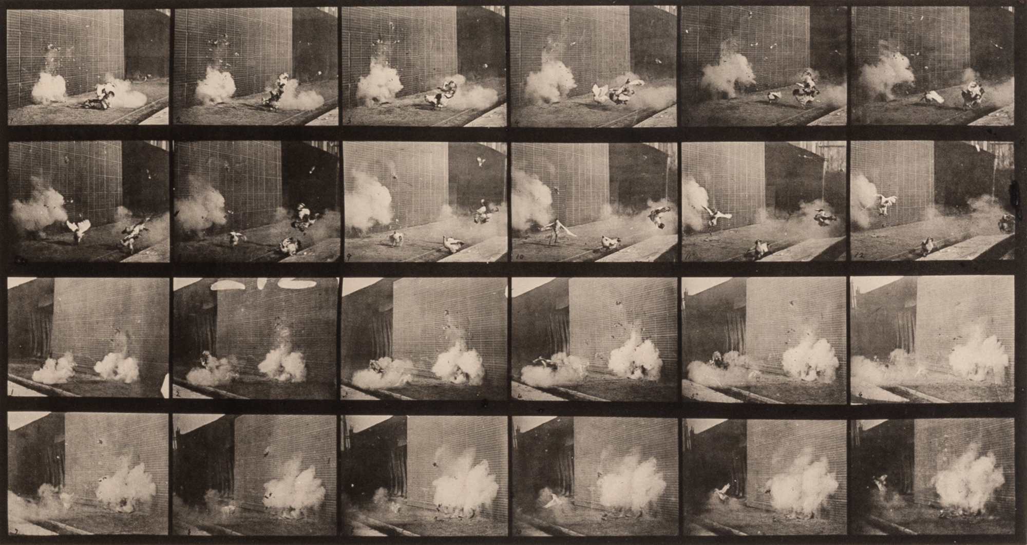 Lot image - MUYBRIDGE, EADWEARD (1830-1904)  Chickens scared by a torpedo,