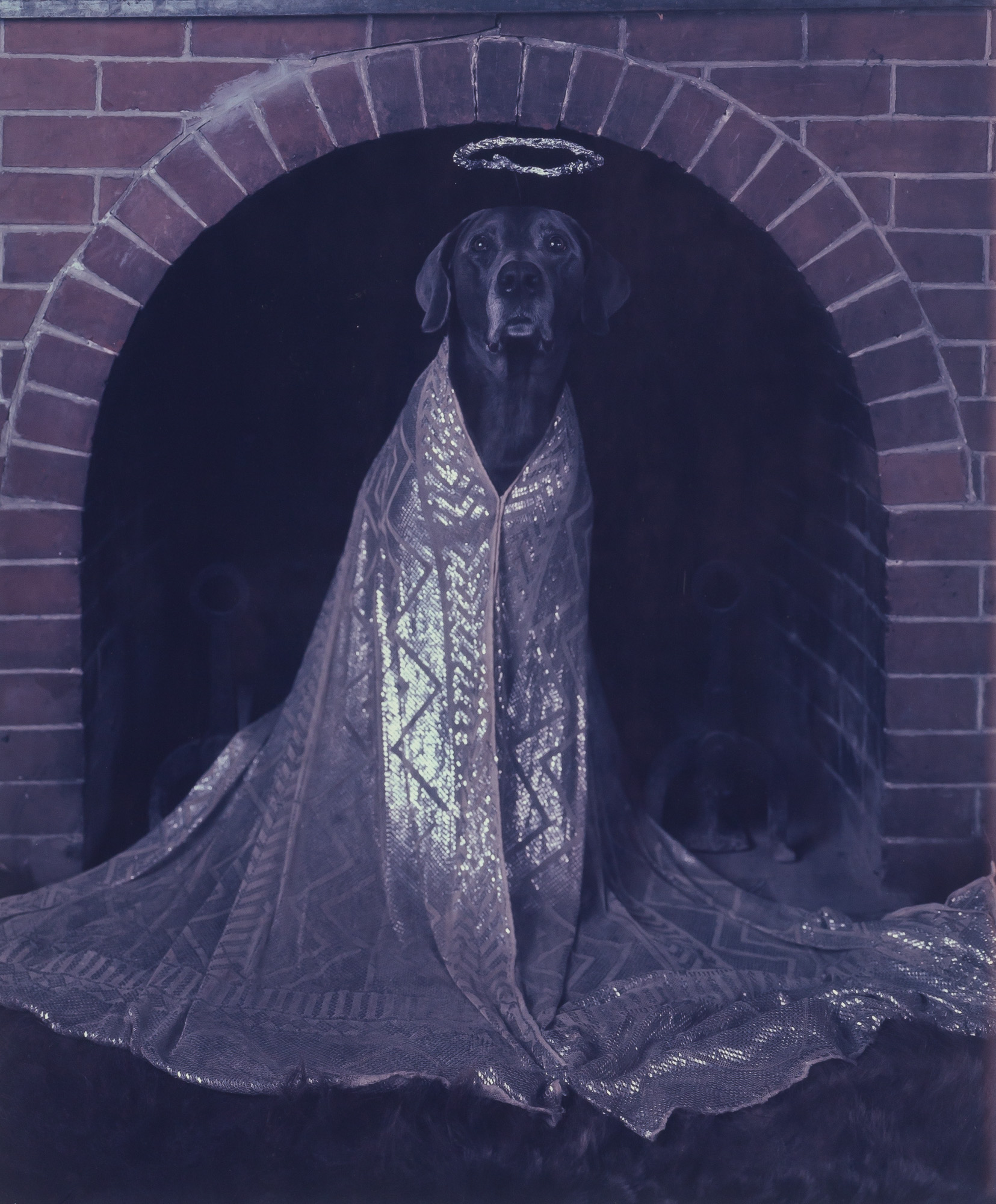 Lot image - WEGMAN, WILLIAM (b. 1943)  Good Dog, (Angel)