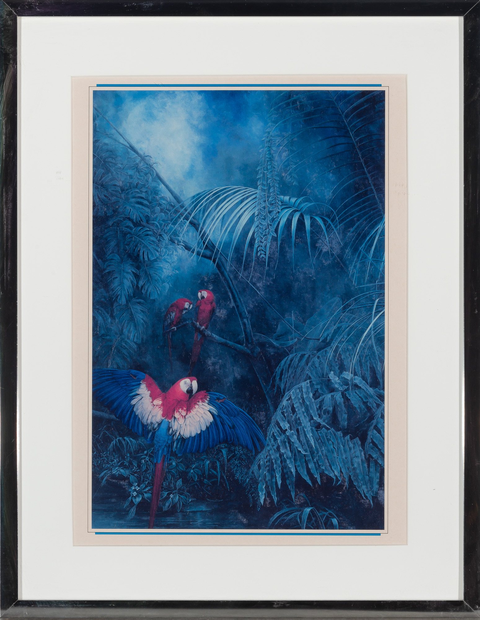 Lot image - [PRINTS]  Group of twenty framed reproduction prints of exotic birds.