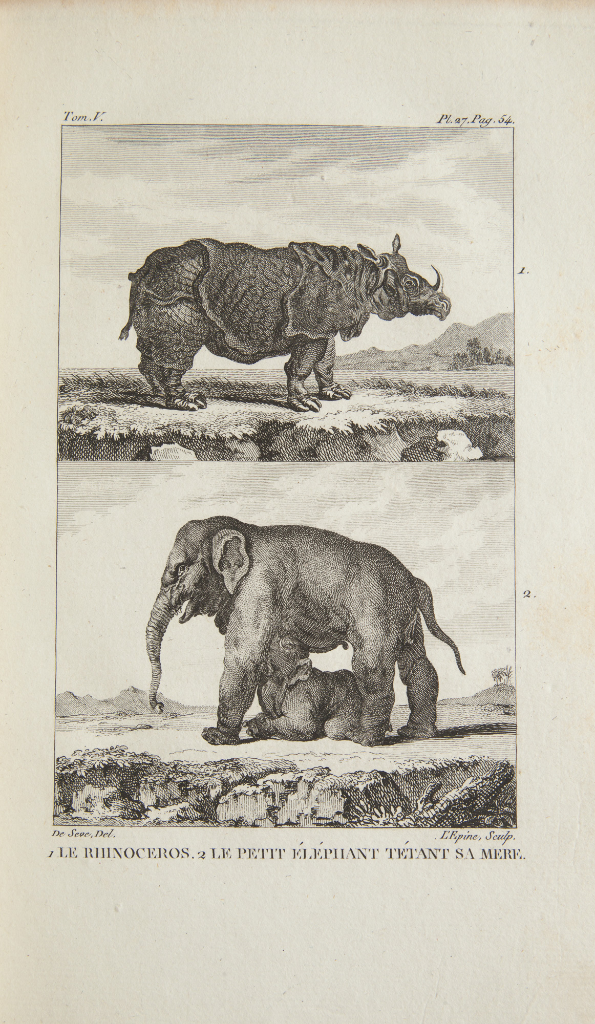 Lot image - [BUFFON] BERNARD, P.  Histoire Naturelle de Buffon.