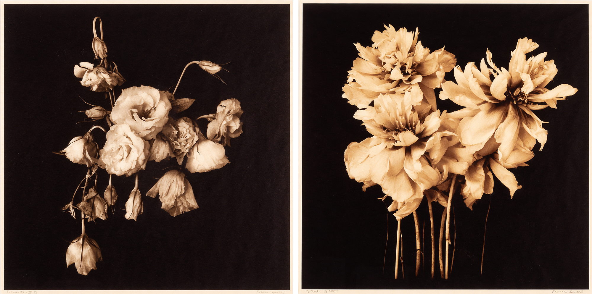 Lot image - BARROW, REENIE (b. 1944)  Two photographs.