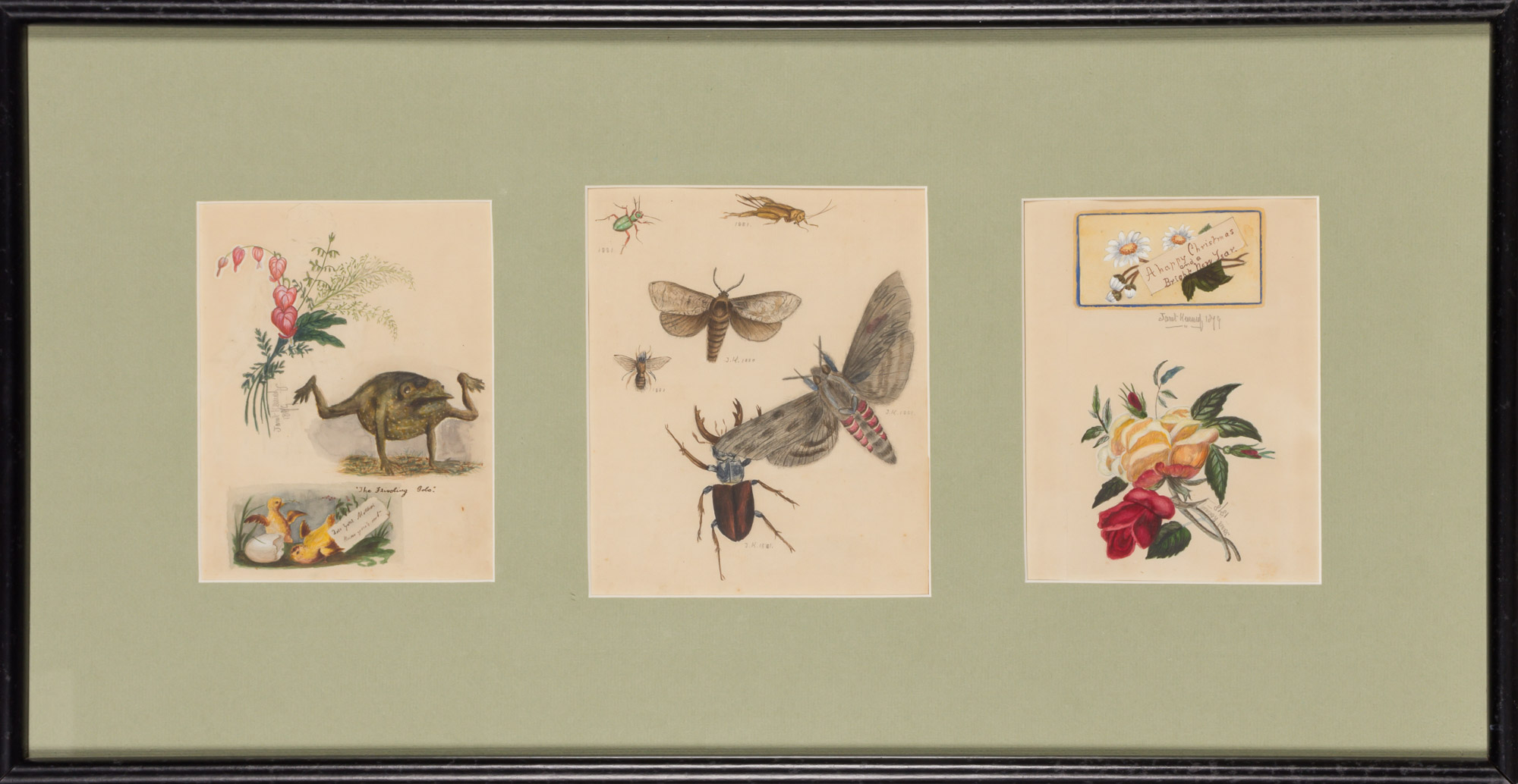 Lot image - American School