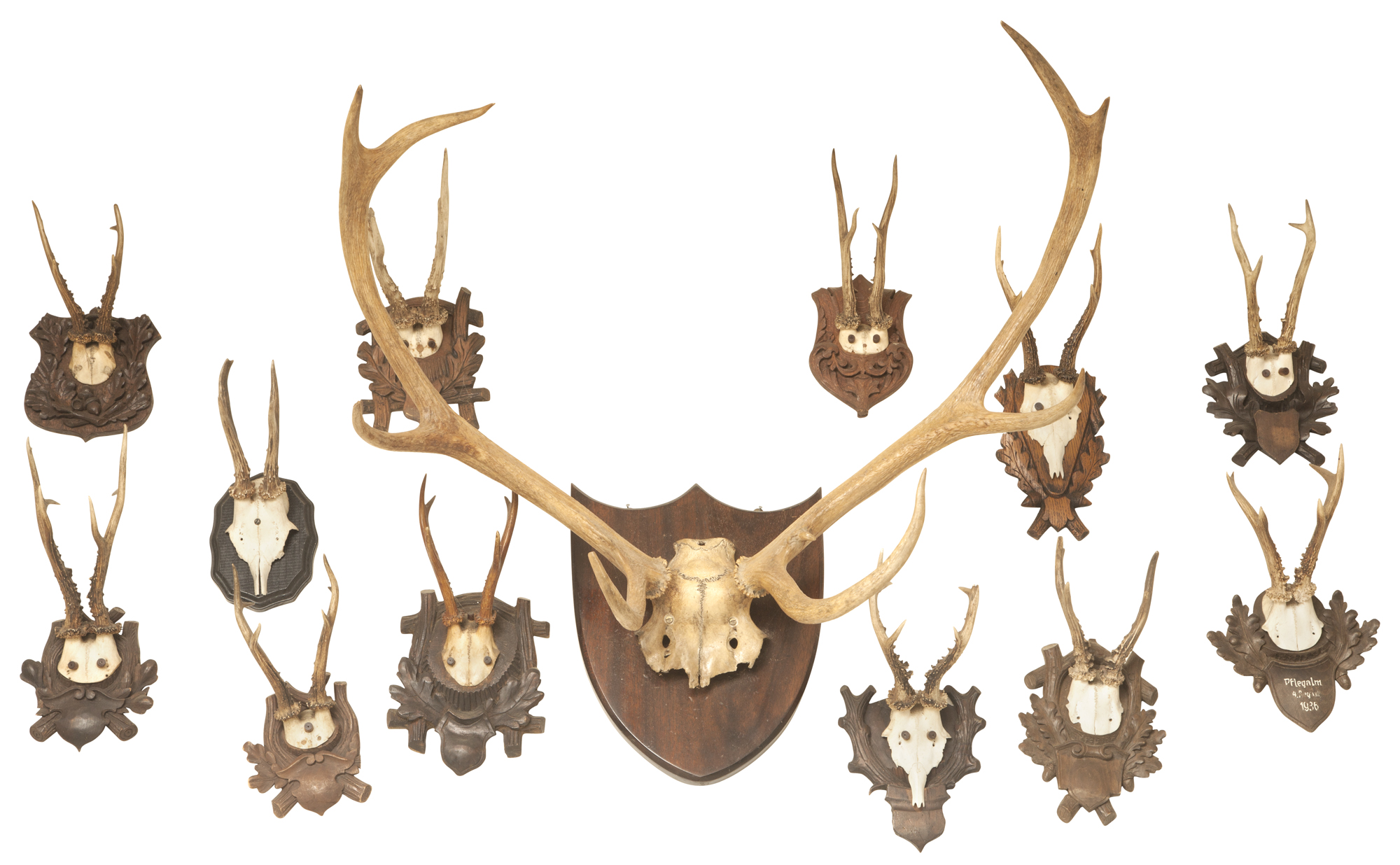 Lot image - Group of Thirteen Antlers