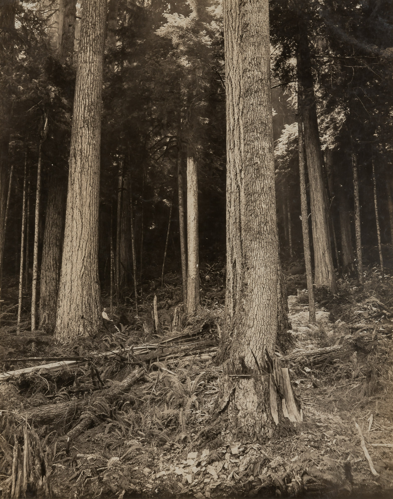 Lot image - KINSEY, DARIUS (1869-1945)  Group of six gelatin silver prints,