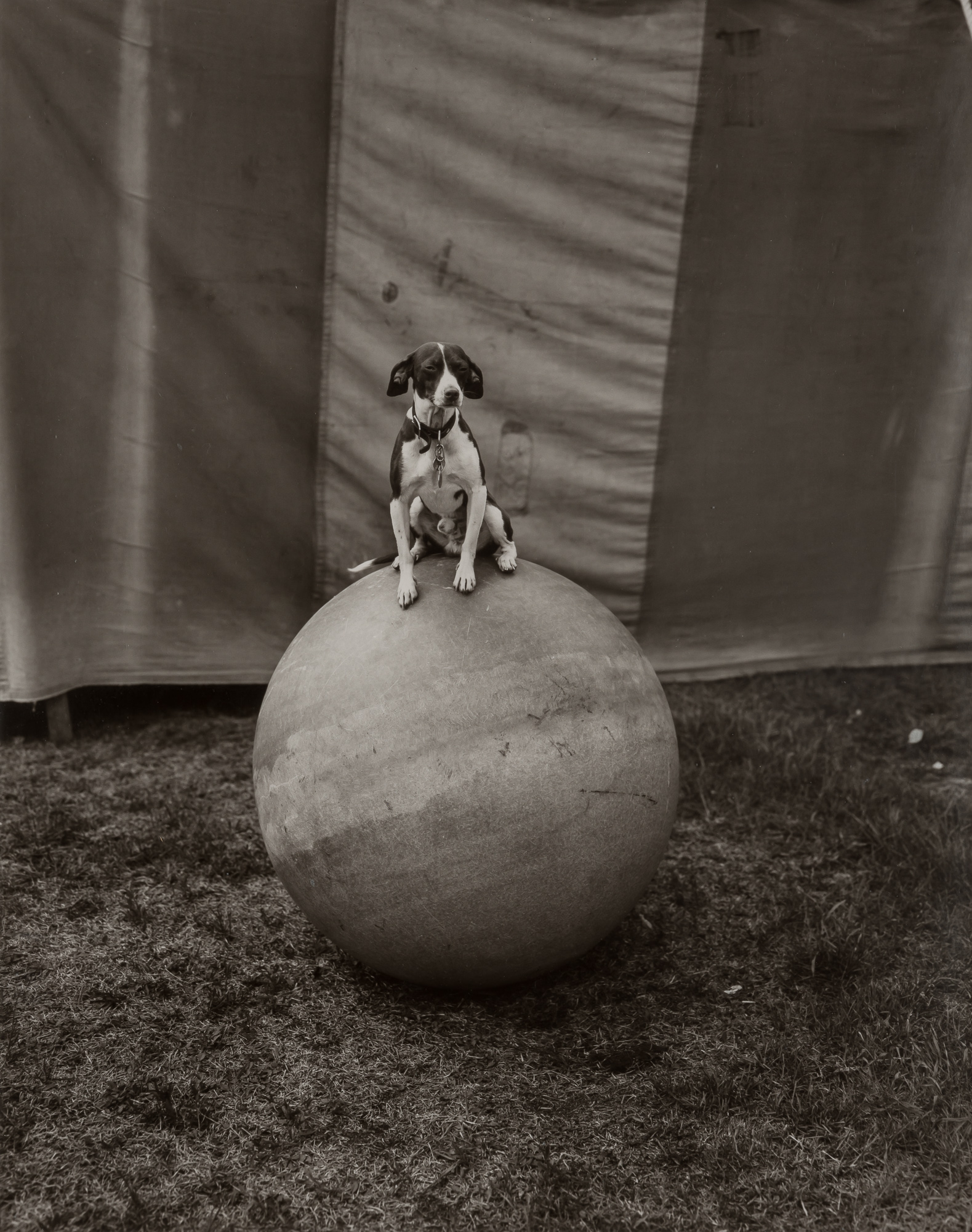 Lot image - LEVENSON, RANDAL (b. 1946)  Two gelatin silver prints.