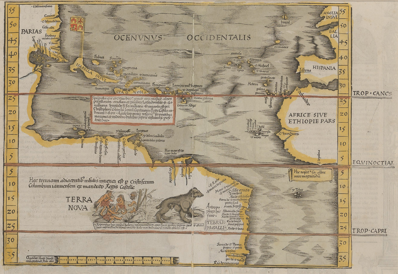 Lot image - FRIES, LORENZ  Oceani Occidentalis Seu Terrae Novae Tabula