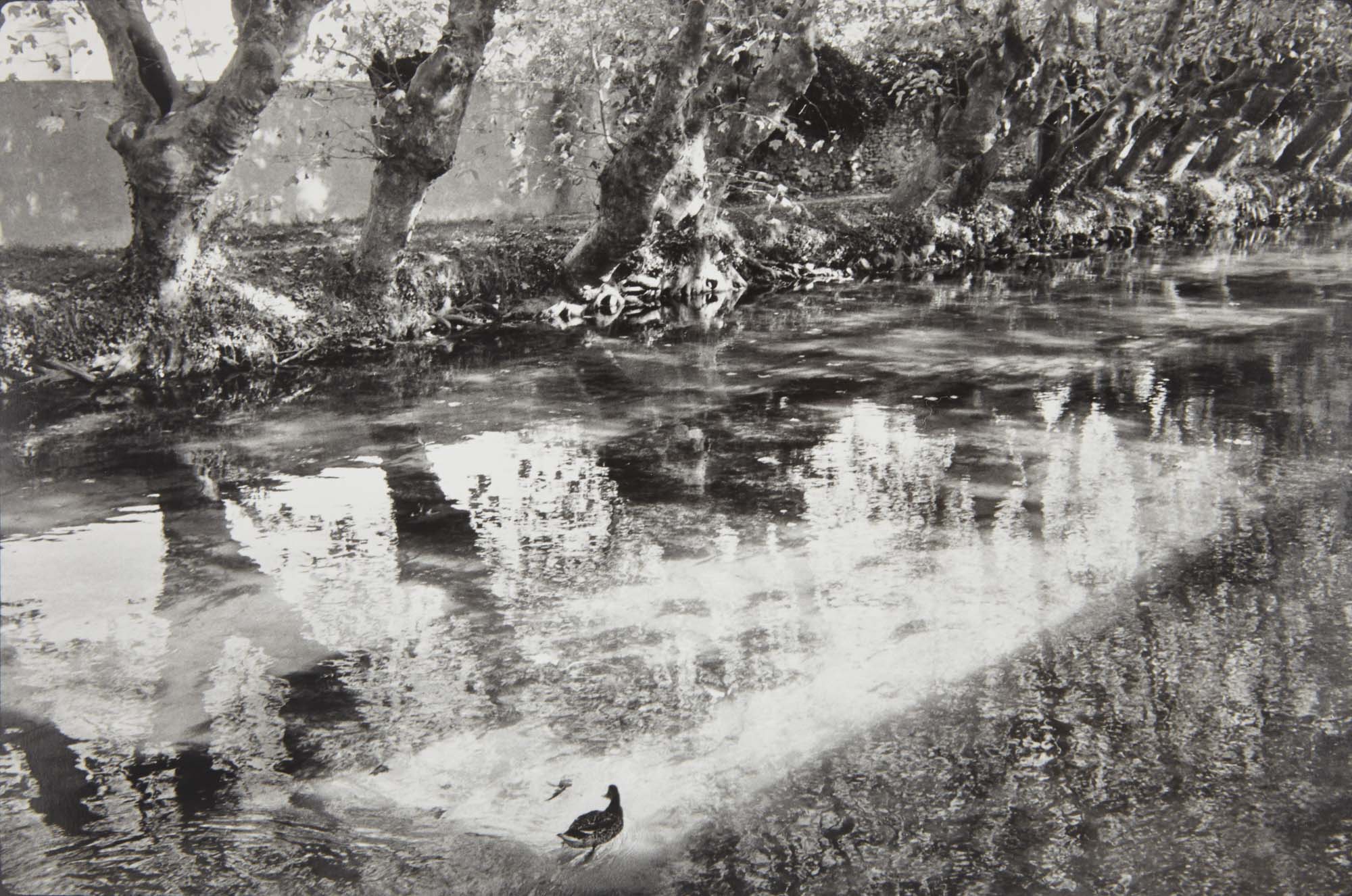 Lot image - CARTIER-BRESSON, HENRI (1908-2004)  lisle sur-la-sorgue, Vaucluse, France,