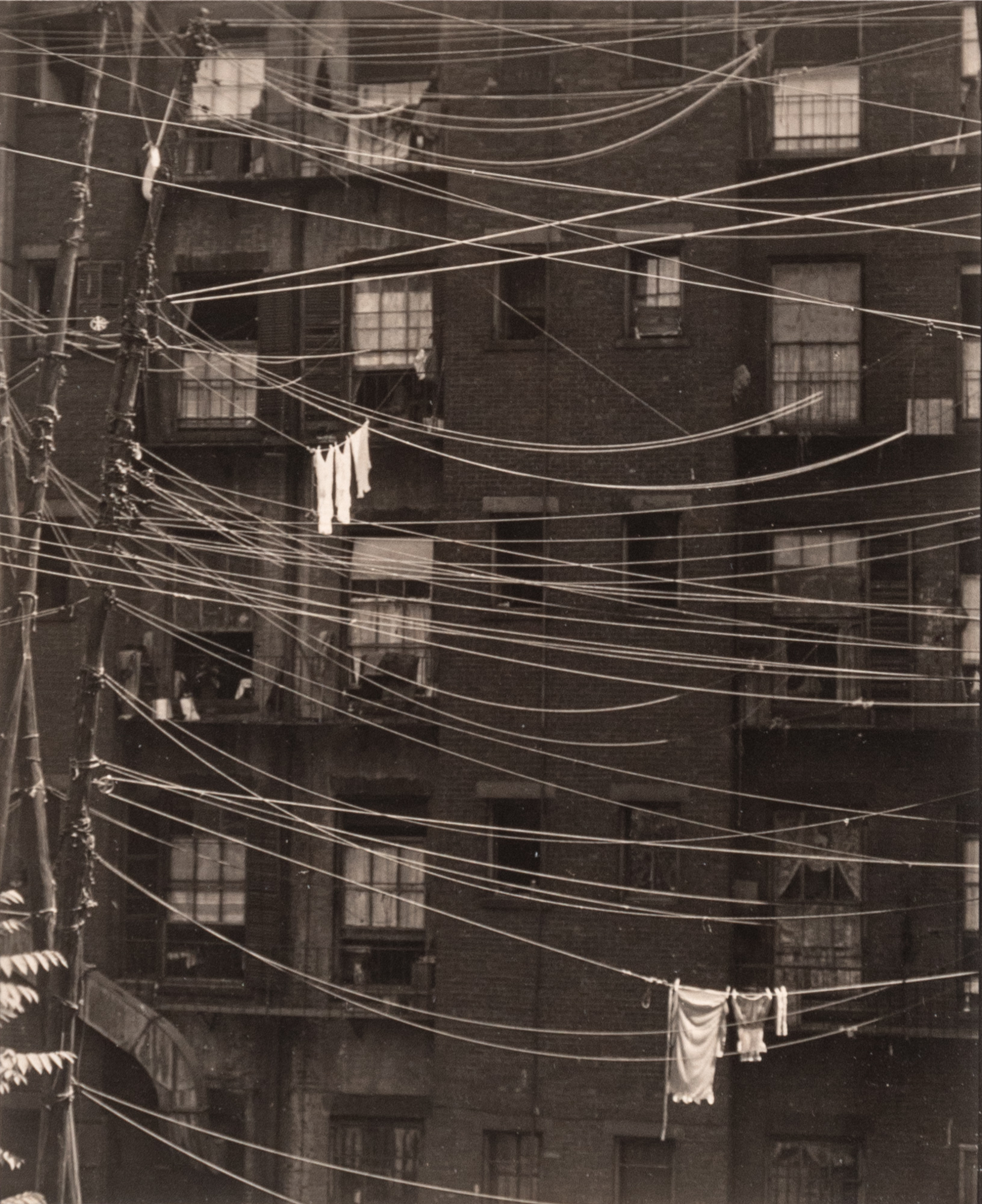 Lot image - STEINER, RALPH (1899-1986)