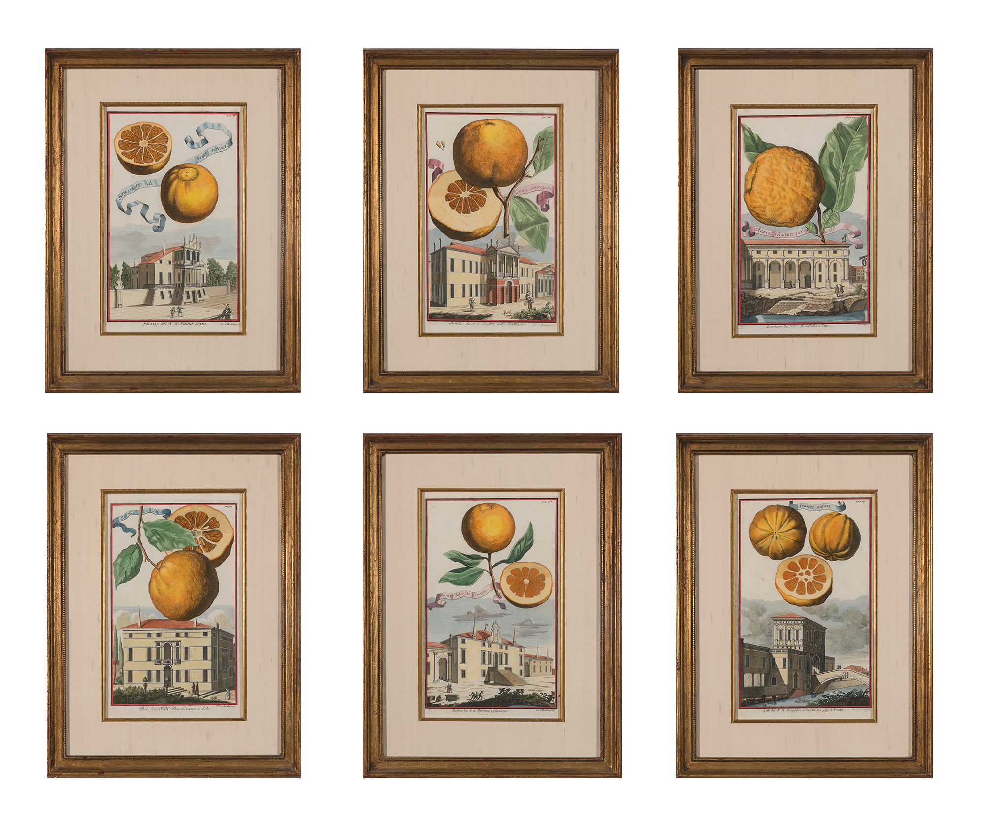 Lot image - Johann Christoph Volckamer (1644-1720)