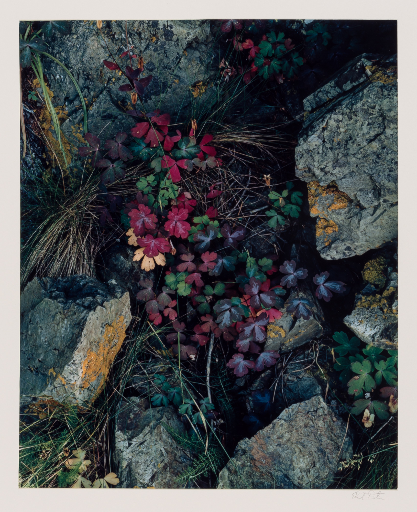 Lot image - PORTER, ELIOT (1901-1990)  Group of four images,