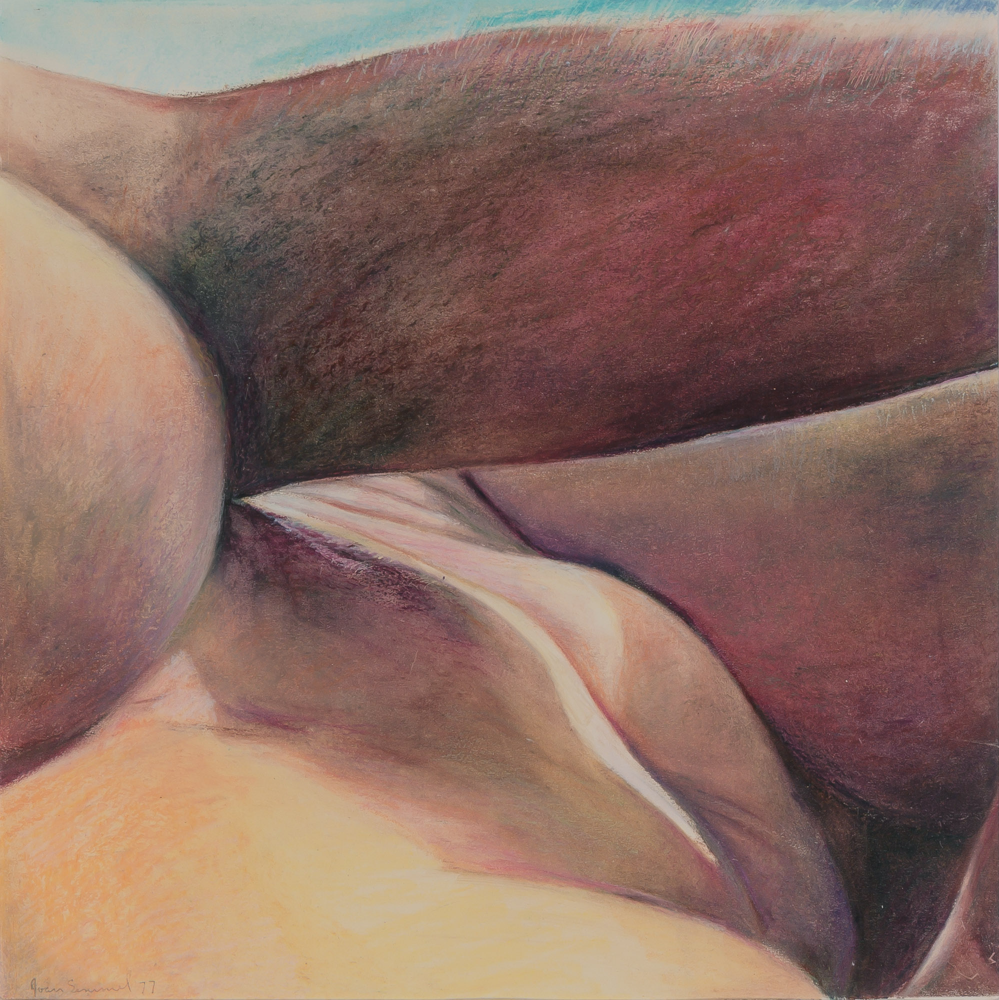 Lot image - Joan Semmel