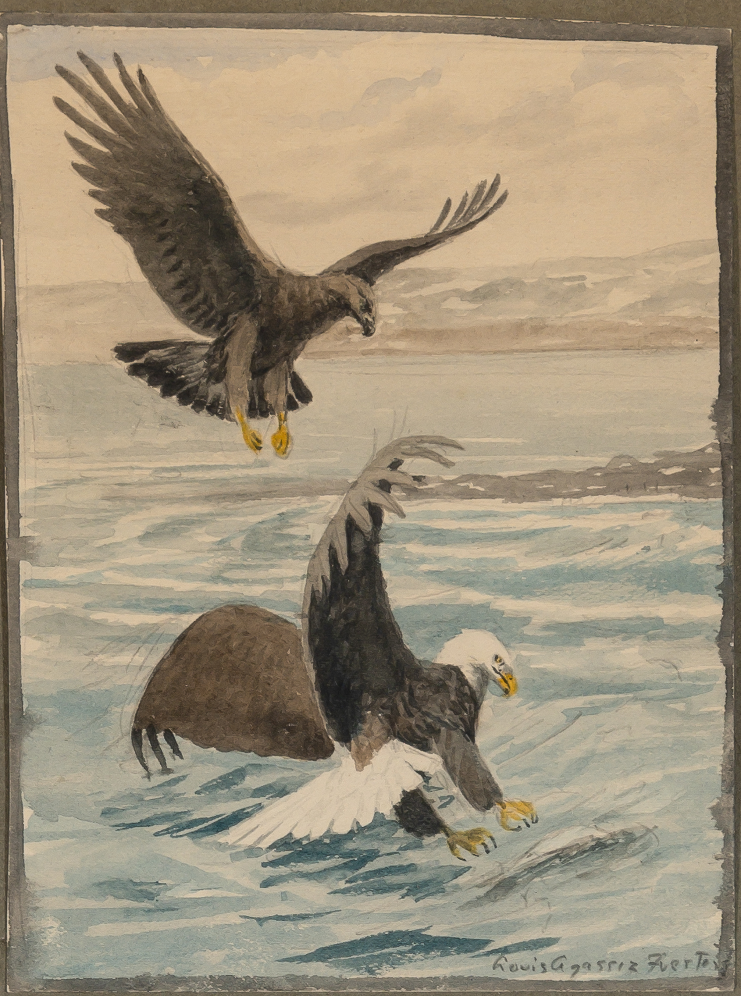 Lot image - Louis Agassiz Fuertes  American, 1874-1927  Eagles Fishing