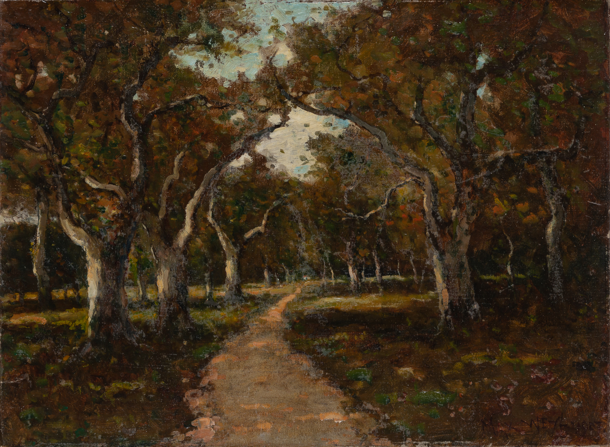 Lot image - Max Weyl