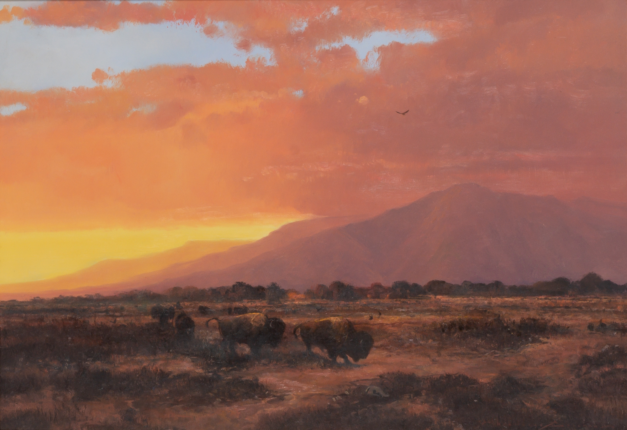 Lot image - Nicholas Coleman