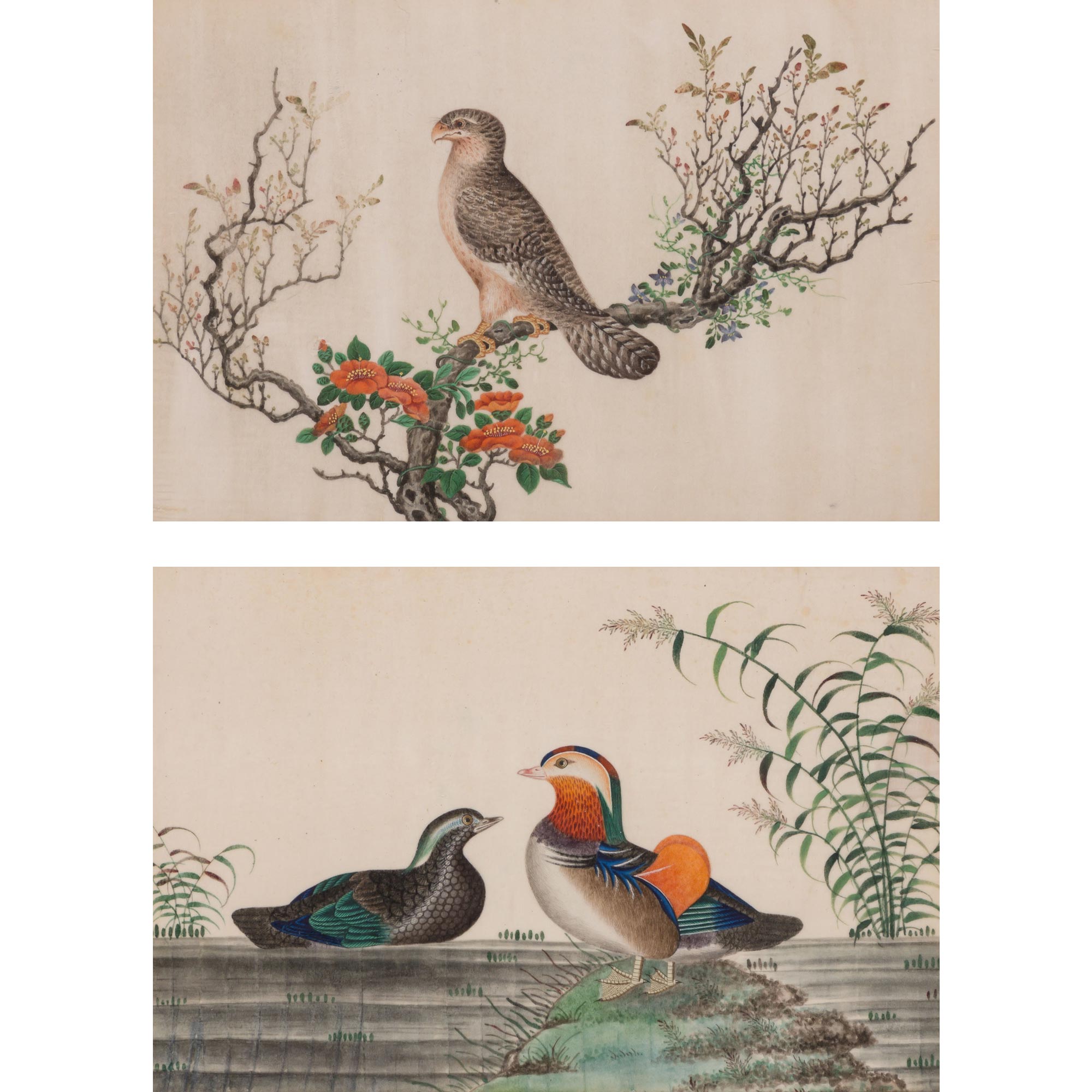 Lot image - Two Chinese Watercolors of Birds