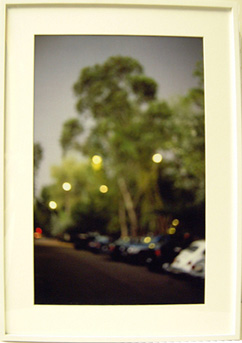 Lot image - David Armstrong TREES WITH CARS, MEXICO CITY 1999