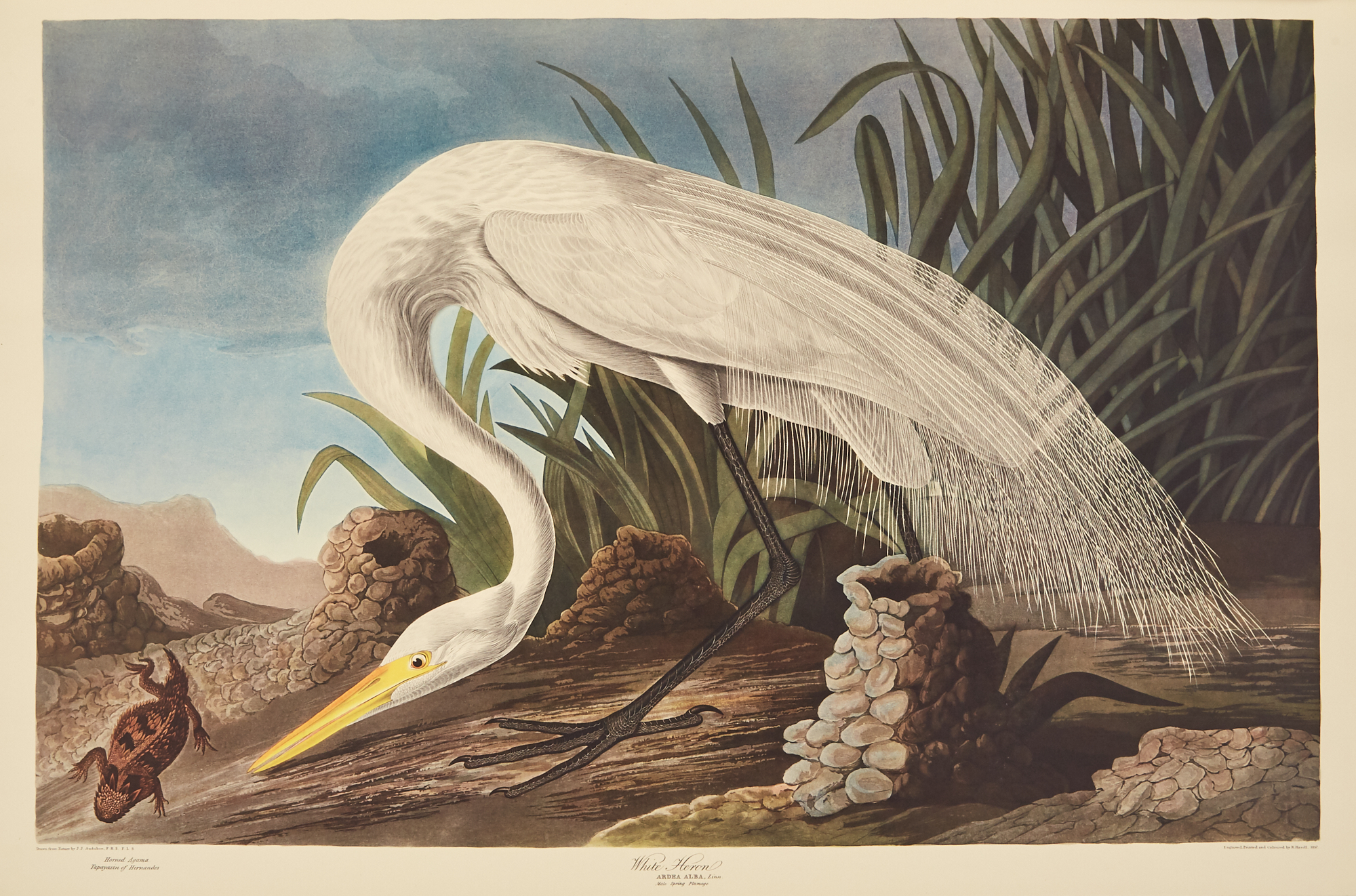 Lot image - AUDUBON, JOHN JAMES (after)  The Birds of America. A Selection of Plates Facsimile.