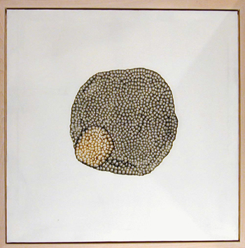 Lot image - Ross Bleckner