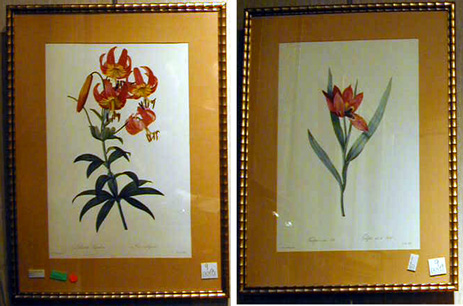 Lot image - After Pierre Joseph Redoute