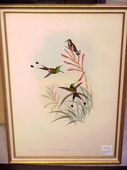 Lot image - J. Gould and H.C. Richter