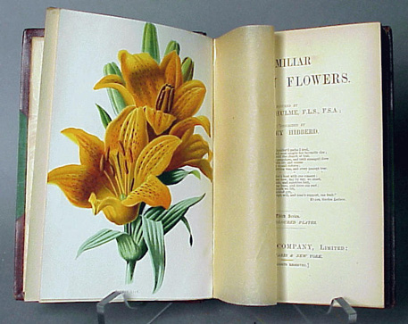 Lot image - [BINDING] HIBBERD, SHIRLEY Familiar Garden Flowers