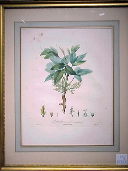 Lot image - After A. Poiteau