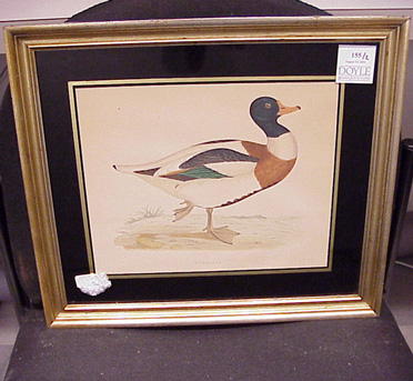 Lot image - English School