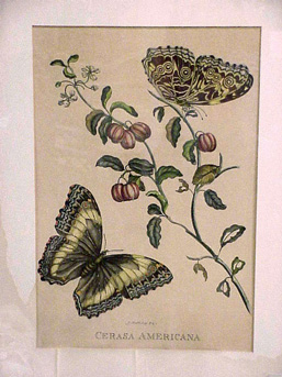 Lot image - European School