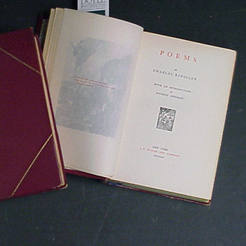 Lot image - KINGSLEY, CHARLES; The Poems and Novels, 14 vols.