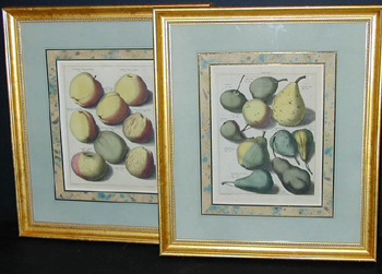 Lot image - After Johann Hermann Knoop