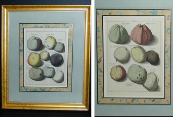 Lot image - After Johann Hermann Knoop