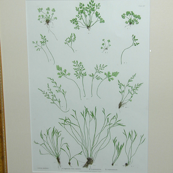 Lot image - Henry Bradbury, lithographer