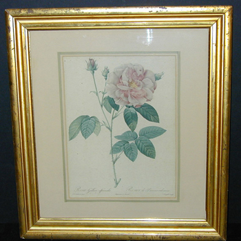 Lot image - After P.J. Redoute