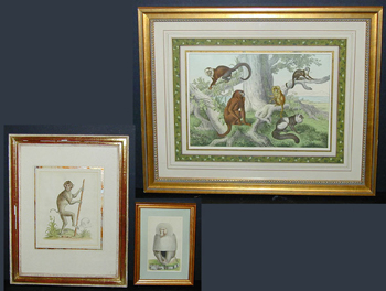 Lot image - George Edwards