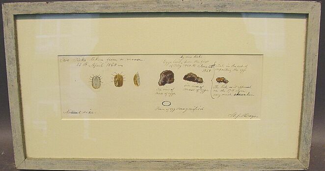 Lot image - William Jacob Hayes, I