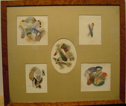 Lot image - W.J. Thomas British, 19th century FEATHER STUDIES: FIVE