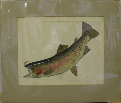 Lot image - Clay T. Seagears American, 20th century RAINBOW TROUT, 1961