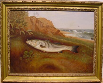 Lot image - American School