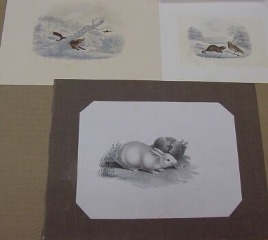 Lot image - B. Jenning