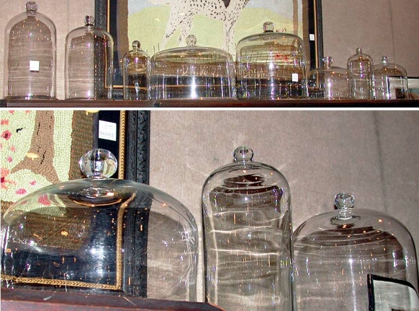 Lot image - Group of Eight Glass Bell Jars