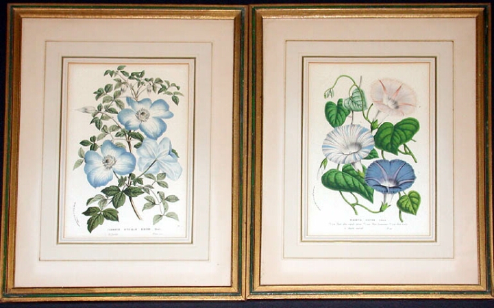 Lot image - Louis Van Houte