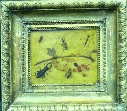 Lot image - Manner of Jan Van Kessel INSECTS AND BERRIES   Oil on copper 5 1/2 x 7 1/2 inches (13.9 x 19.1 cm.)