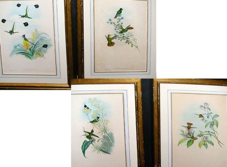 Lot image - J. Gould and H. C. Richter