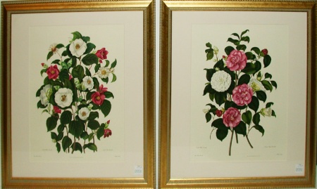 Lot image - After Clara Maria Pope